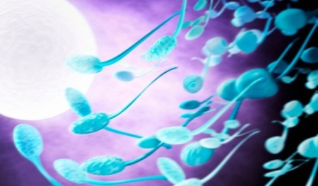 Nace en España el primer bebé mediante una nueva técnica de fecundación natural que se produce en el útero