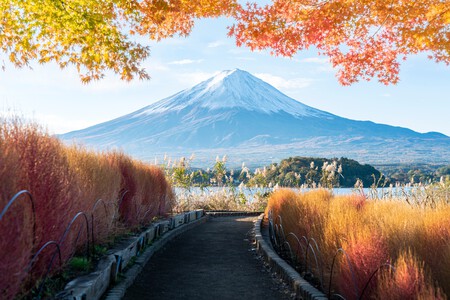 Shutterstock 2207175691