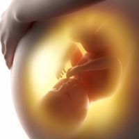 Nacer en la semana 37 no es lo mismo que nacer en la 42, aunque ambos partos sean a término