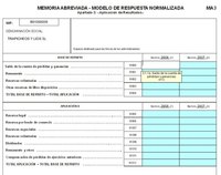 Depósito de cuentas 2008: confección de memoria y resto de apartados