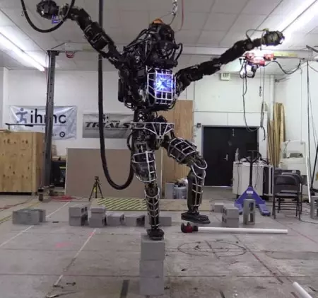Un simio, un karateka y muchos Atlas : así son los 11 robots que lucharán en la competición de DARPA