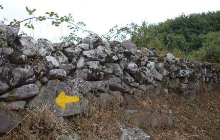 Encuesta: ¿Por qué motivo harías el Camino de Santiago?