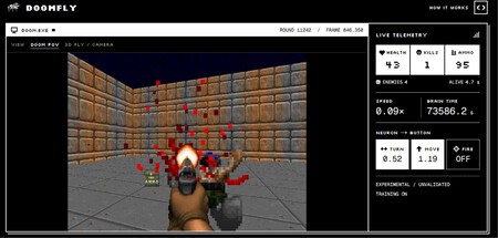 Google Mapeo El Cerebro De Una Mosca Y Ahora El Insecto Esta Haciendo La Cosa Mas Distopica Jugar Doom