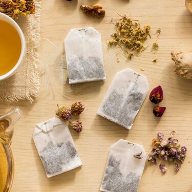 Cultiva manzanilla en tu casa con una bolsa de té: en 8 pasos lo lograrás