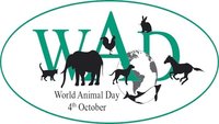 Hoy es el Día Mundial de los animales