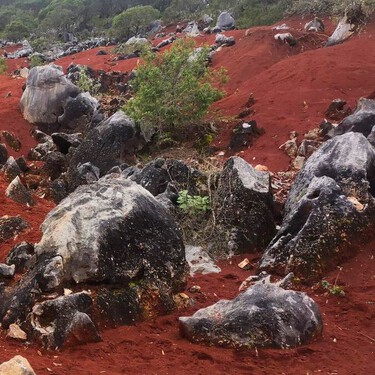 Este es el desierto rojo que parece sacado de otro planeta y que pocos conocen, se encuentra en Hidalgo y te decimos cómo llegar