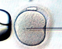 Proponen más tratamientos de fertilidad para las europeas