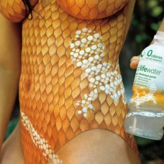 Foto 17 de 17 de la galería ashley-greener-body-painting en Poprosa