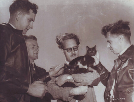 Los Cazadores De Gatos De La Isla Marion