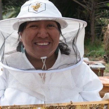 Vive la experiencia de convivir con abejas en Xochimilco: aprende, prueba miel y disfruta de un paseo único