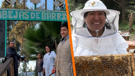 Vive la experiencia de convivir con abejas en Xochimilco: aprende, prueba miel y disfruta de un paseo único