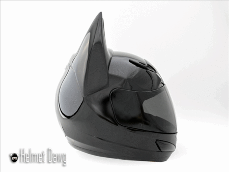 Helmet Dawg