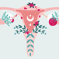 Las células madre de la sangre menstrual tienen un potencial sin explotar: podrían reparar tejidos y curar enfermedades