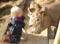 Una niña de cuatro años que sólo habla con animales, Rose Willcocks
