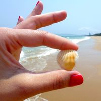 Retomar el ritmo después de unas vacaciones 