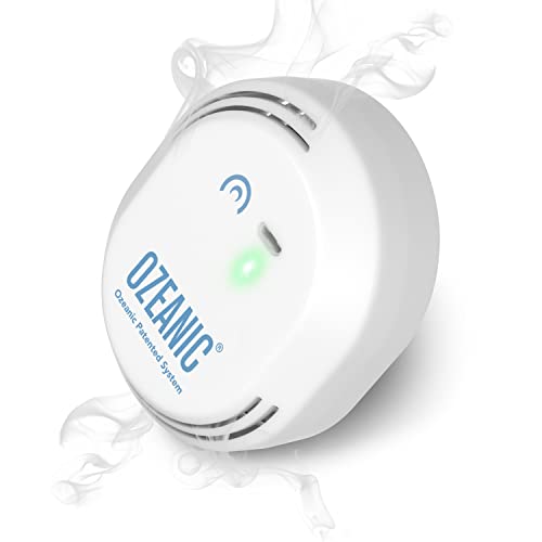 Ozeanic | Purificador de aire | Ambientador nevera | Generador de ozono | Gadget para el hogar | Neutralizador de olores |Elimina bacterias| Recarga USB |
