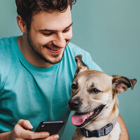 Entender qué dicen los perros al ladrar ha sido un desafío durante siglos. Este estudio ha conseguido acercarnos a esa meta mediante la IA