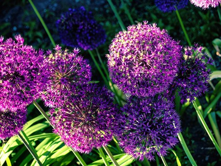 Photo 1698068503260 343ac625380a