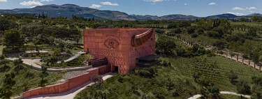 El aceite de oliva está siguiendo los pasos del vino. Y eso pasa por la preumificación de las almazaras 