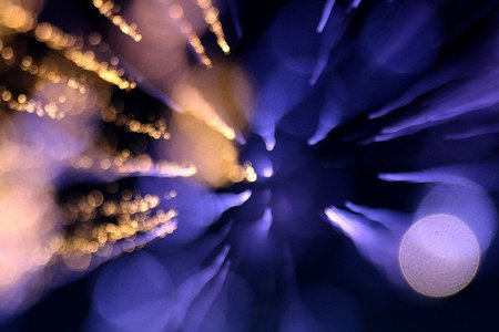 Varkevisser fireworks