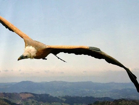 Ya no debo dinero al banco, han vendido mi préstamo... (I)