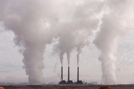 La empresa, la flexibilidad laboral y el greenwashing