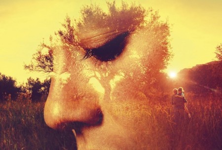 'El olivo', una película con mucho encanto