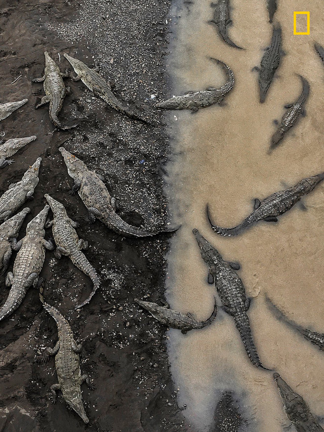 Yourshot Tpoy Nature 3rd Sinha