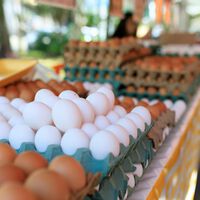 Lidl lanza una bajada permanente en el precio de la docena de huevos: frescos, camperos, ecológicos... ¡Más baratos!
