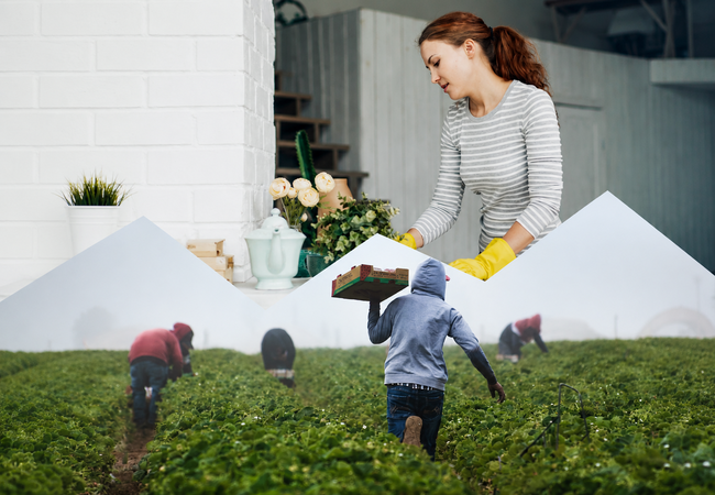 Empleado Hogar Agricultor Caida Empleo