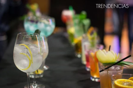 Cómo hacer un Gin Tonic de concurso, asistimos a las semifinales del IV Premio Origins de Schweppes