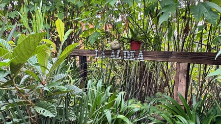 'La Aldea': el lugar secreto en Edomex rodeado de naturaleza, donde aprenderás a comer de forma sustentable