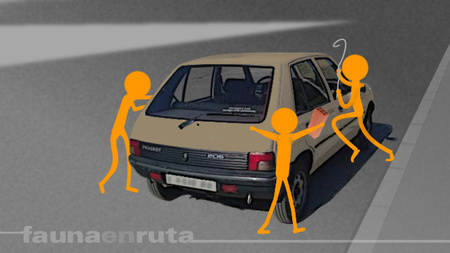 fauna en ruta: dejarse las llaves dentro del coche