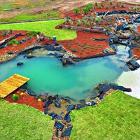 Construyó un lago para criar peces y terminó creando un ecosistema: 1,000 días después llegaron águilas, ciervos y búhos 