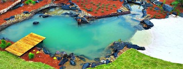 Construyó un lago para pescar. 1,000 días después, la fauna lo había convertido en su hogar
