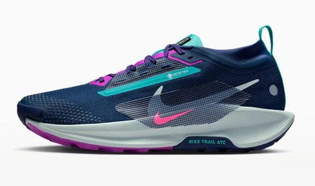 Nike Pegasus Trail 5 Gore Tex