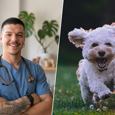 Adrián Conde, veterinario: "El paseo es para el perro, no para nosotros. Tienen que tener lugar dos veces al día, pero yo recomiendo tres. Si tenemos que parar cada cinco segundos en un árbol, nos paramos"