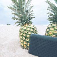 Altavoces grandes y potentes para montar una fiesta en la playa: consejos de compra y modelos destacados