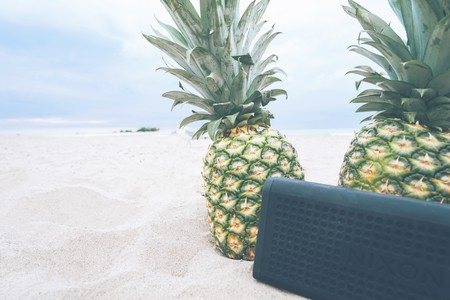 Altavoces grandes y potentes para montar una fiesta en la playa: consejos de compra y modelos destacados