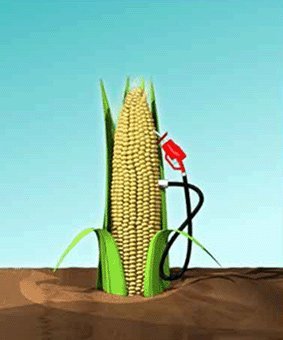 ¿El biocombustible es un fraude 'flower power'?