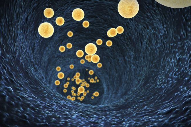 Bacteriasintestinales