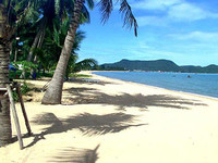 Buscan limpiar la imagen de Pattaya