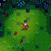 Cómo conseguir Madera Noble en Stardew Valley 