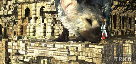 Project 'TRICO', nuevos detalles