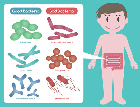 microbiota embarazo