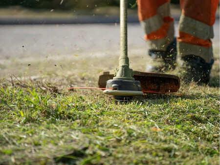 Diseno Sin Titulo 14