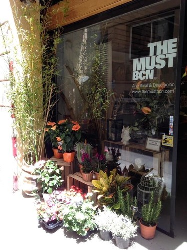The Must BCN, mucho más que una floristería