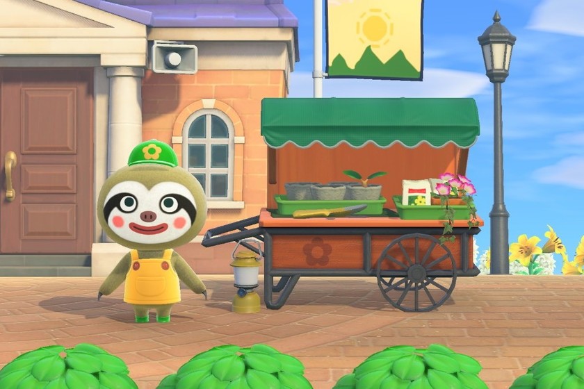 all types of shrubs and when they bloom World Today News