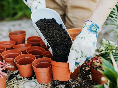 Plantilla Joana Costa 19