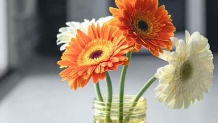 Florero Con Gerberas